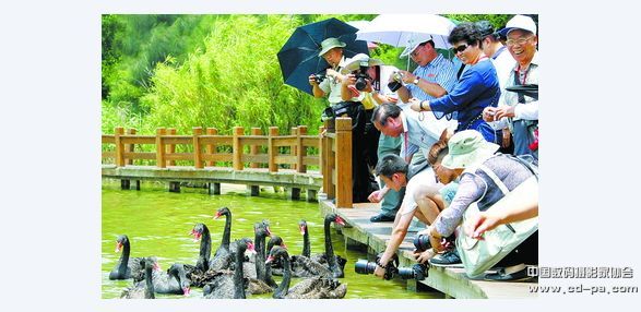 两岸摄影师在五缘湾湿地公园巧遇来自台湾的旅